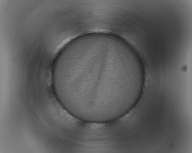 X0000113211306200910081306