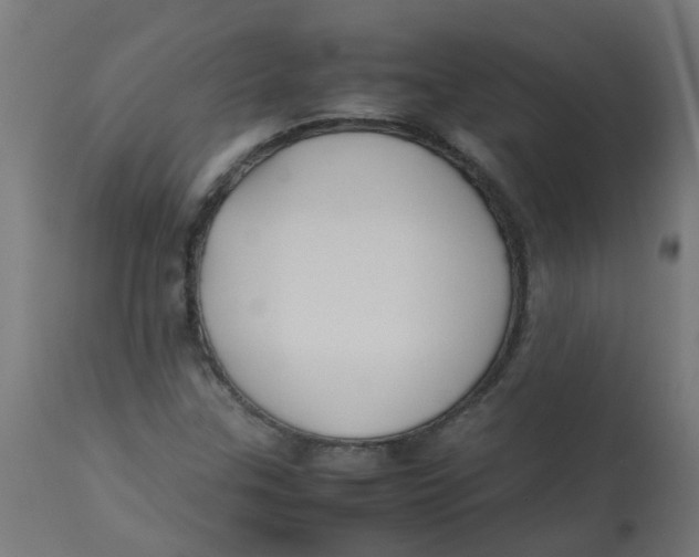 X0000113211307200910081306