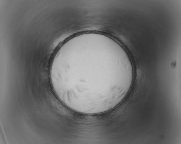 X0000113211308200910081306