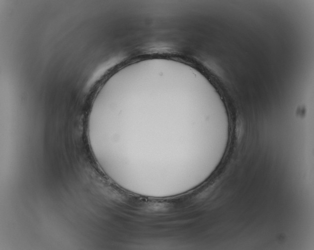 X0000113211309200910081306