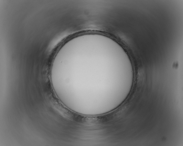 X0000113211310200910081306