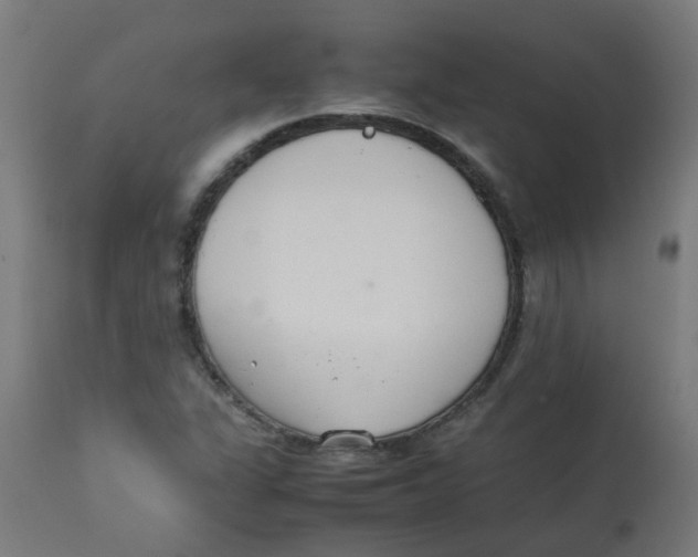 X0000113211311200910081306