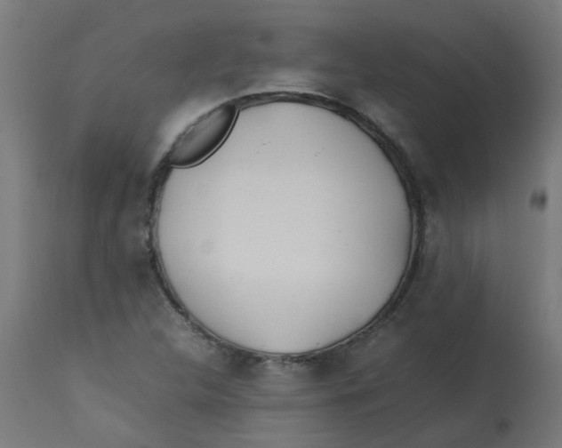 X0000113211312200910081306