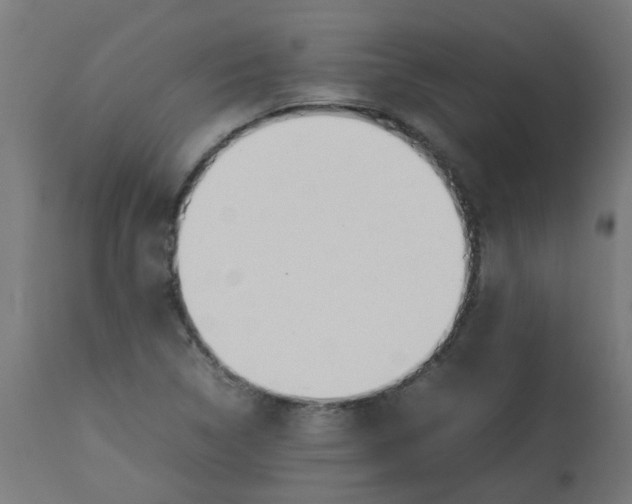 X0000113211314200910081306