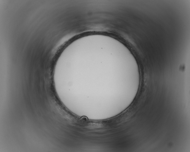 X0000113211315200910081306