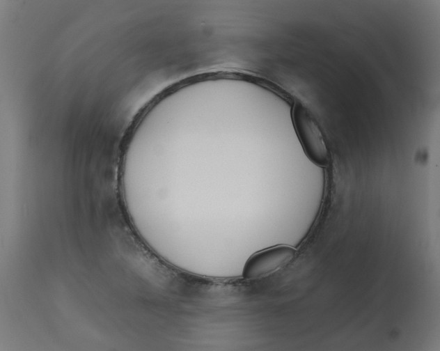 X0000113211316200910081306