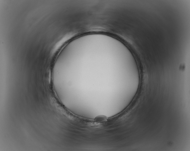 X0000113211317200910081306