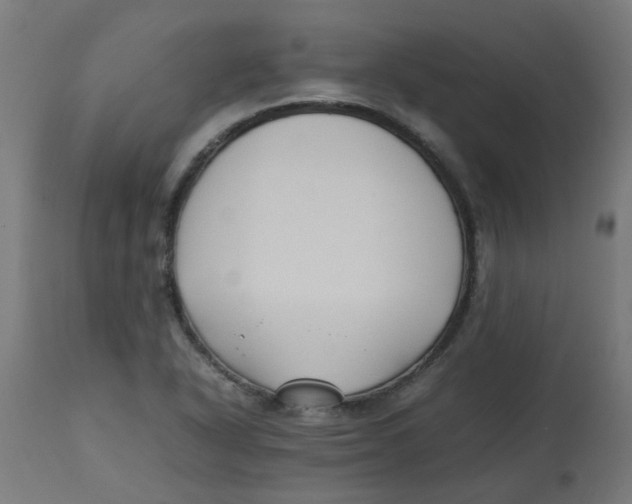 X0000113211318200910081306