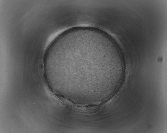 X0000113211319200910081306