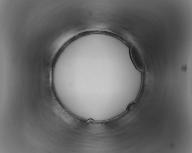 X0000113211320200910081306