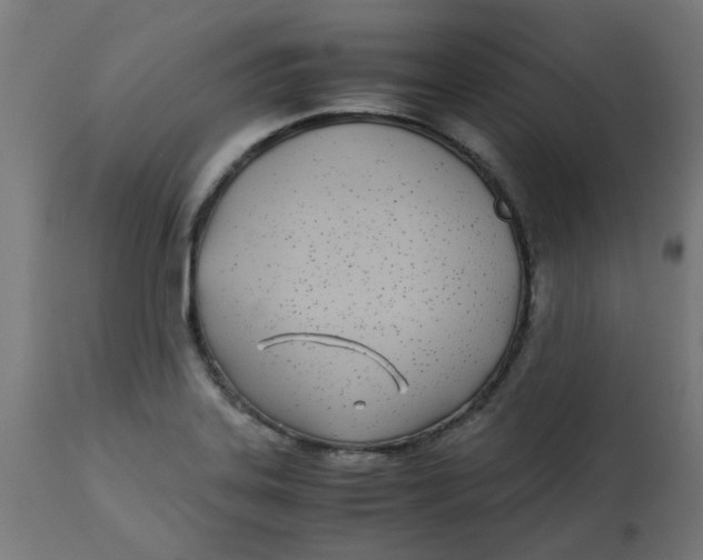 X0000113211323200910081306