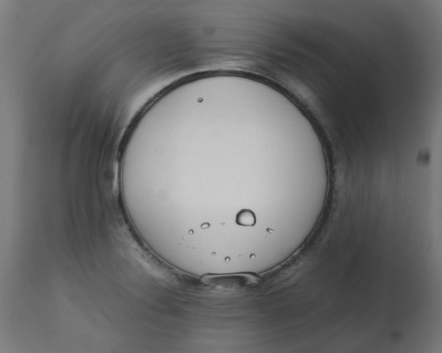 X0000113211324200910081306