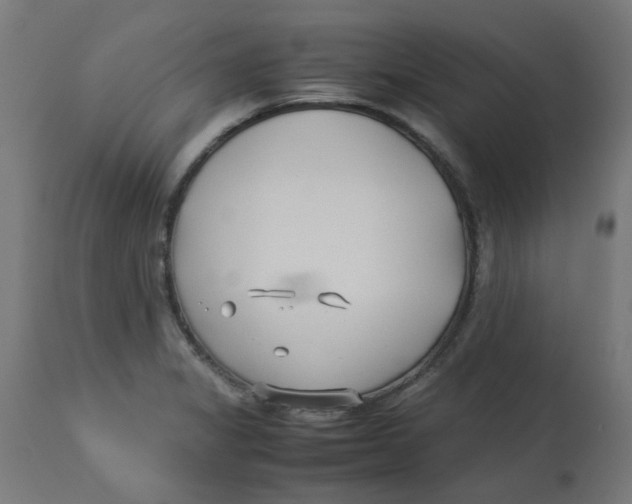 X0000113211325200910081306