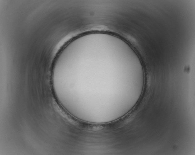 X0000113211326200910081306