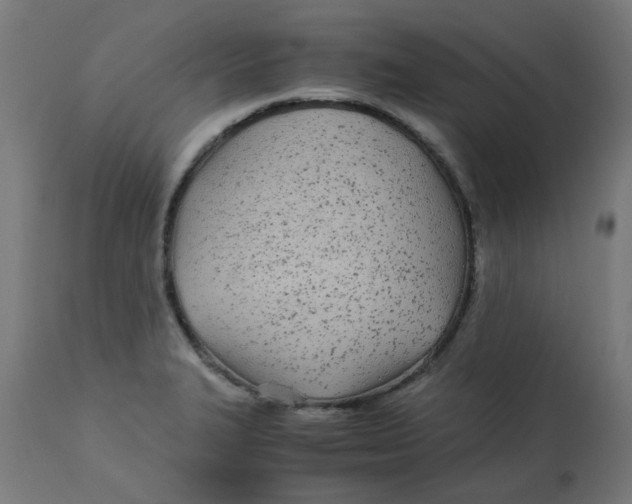 X0000113211327200910081306