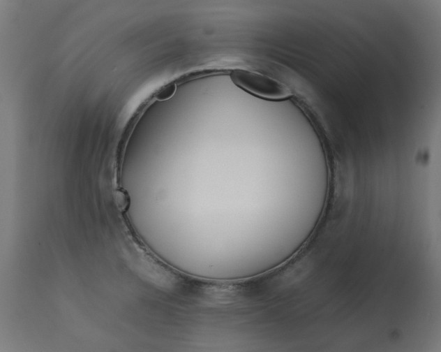 X0000113211328200910081306