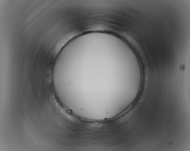 X0000113211329200910081306