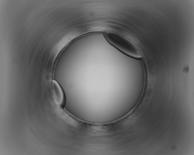 X0000113211330200910081307