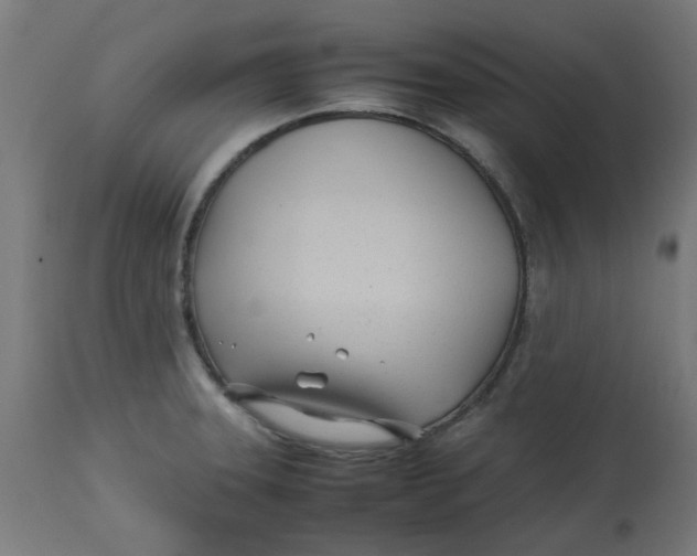 X0000113211331200910081307