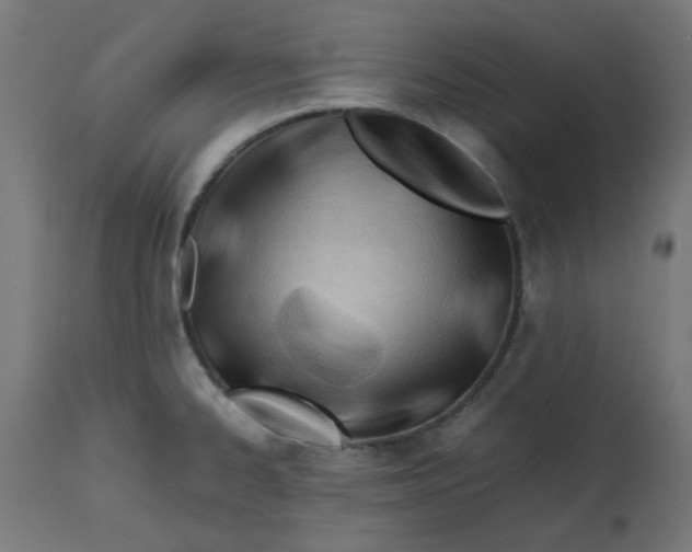 X0000113211334200910081307