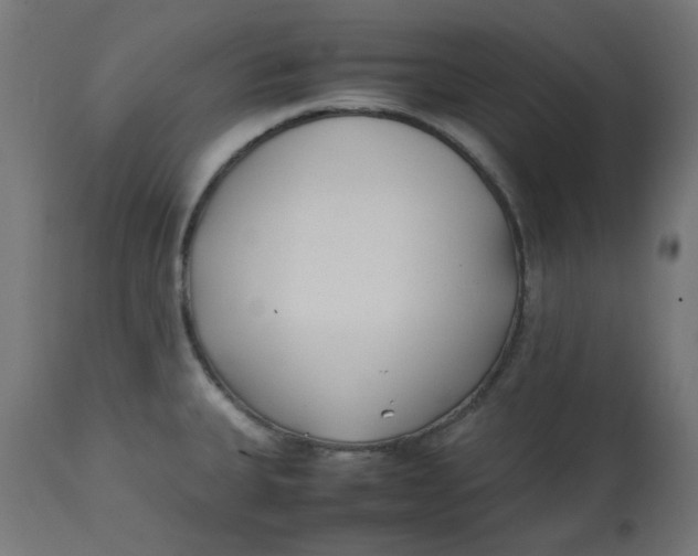 X0000113211335200910081307