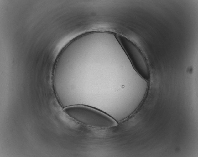 X0000113211336200910081307