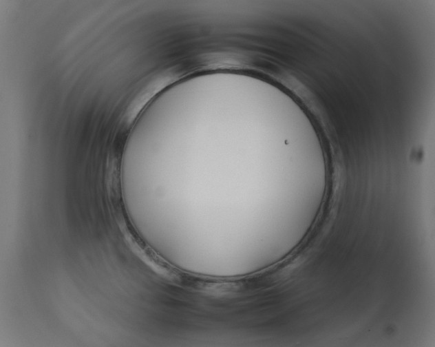 X0000113211337200910081307