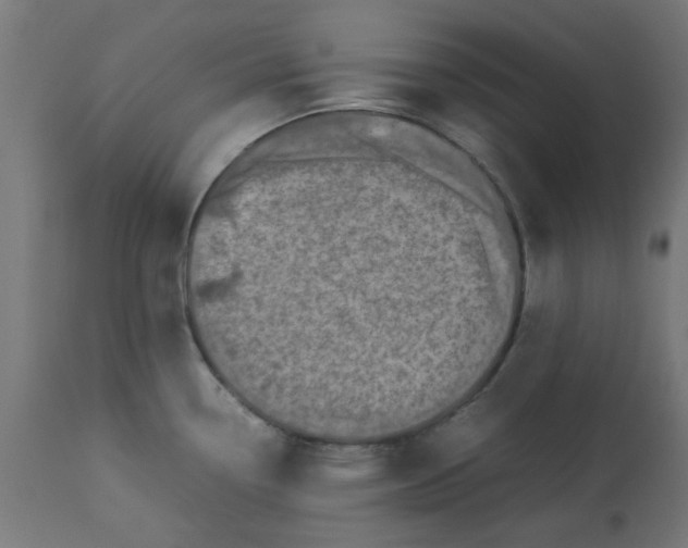 X0000113211338200910081307