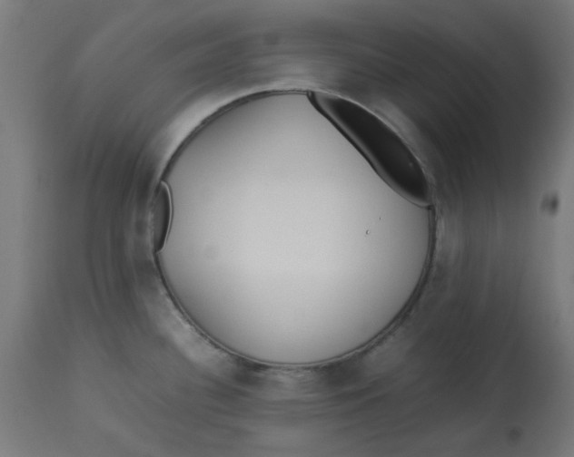 X0000113211340200910081307