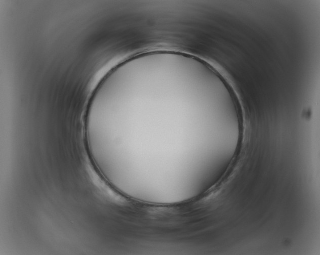 X0000113211341200910081307