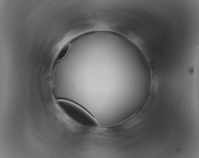 X0000113211342200910081307