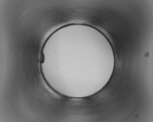 X0000113211343200910081307