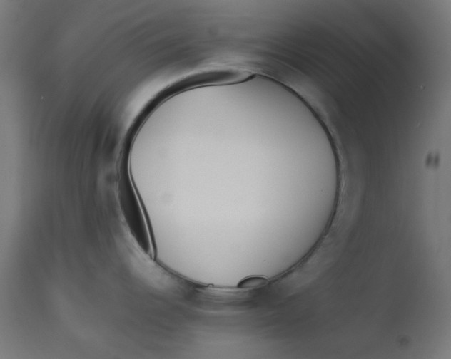 X0000113211344200910081307