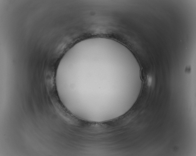 X0000113211348200910081306