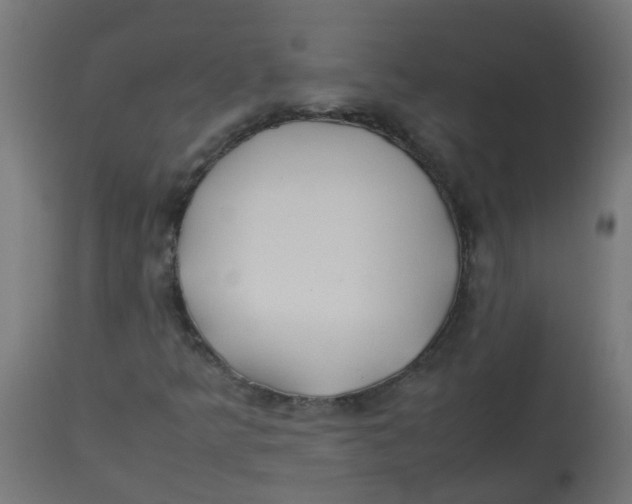 X0000113211349200910081306