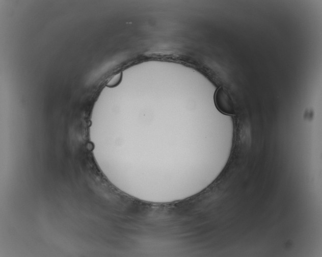 X0000113211350200910081306