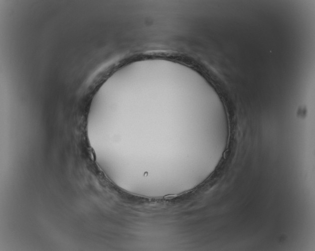 X0000113211351200910081306