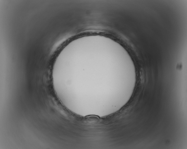 X0000113211352200910081306