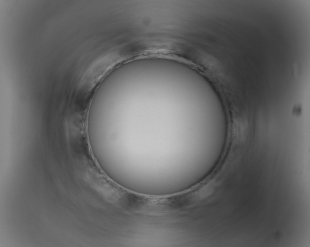 X0000113211353200910081306