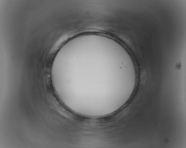 X0000113211355200910081306