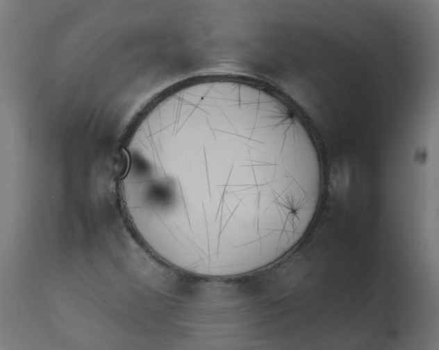 X0000113211356200910081306