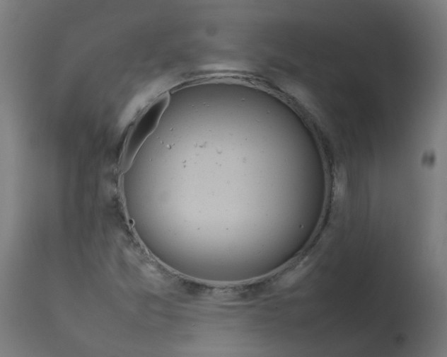 X0000113211357200910081306