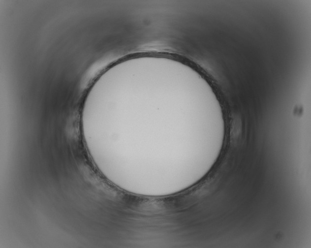 X0000113211358200910081306