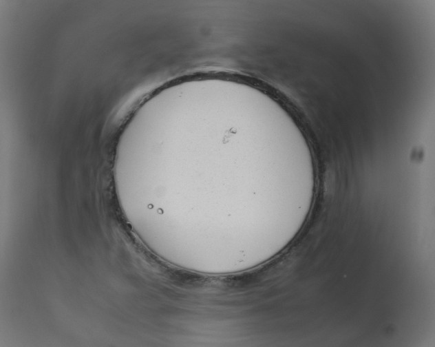 X0000113211359200910081306