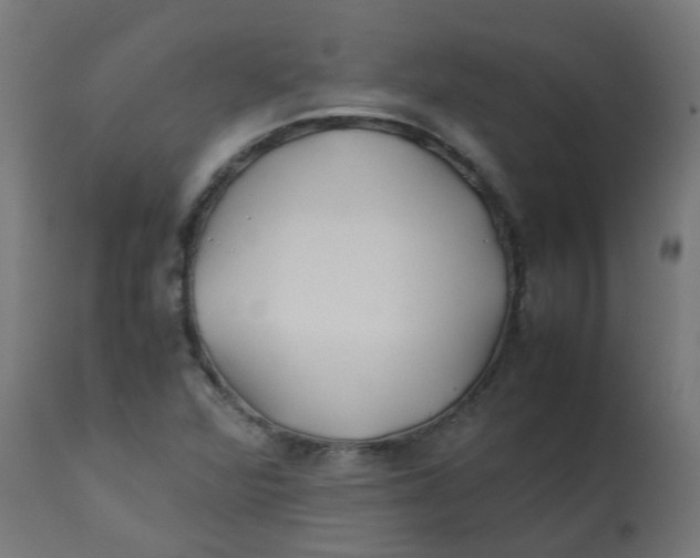 X0000113211360200910081306