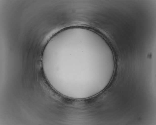 X0000113211363200910081306