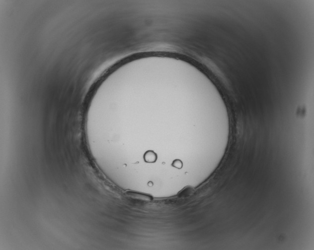 X0000113211364200910081306