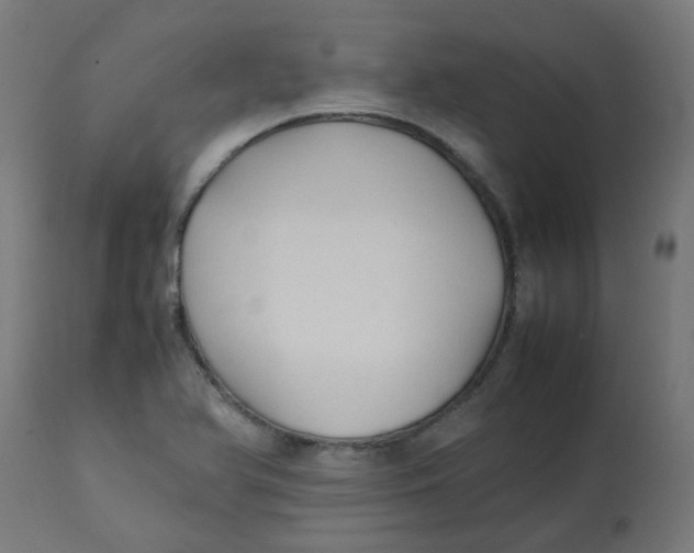 X0000113211366200910081306