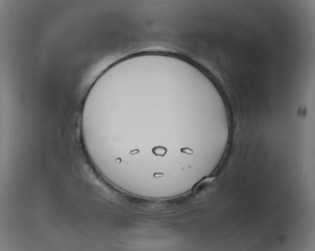 X0000113211367200910081306