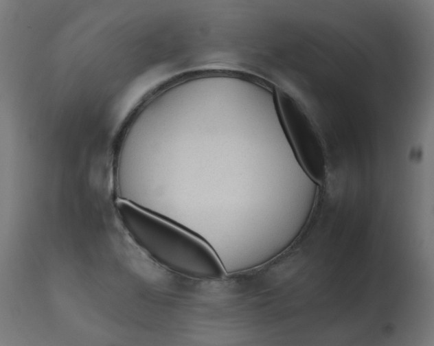 X0000113211368200910081306